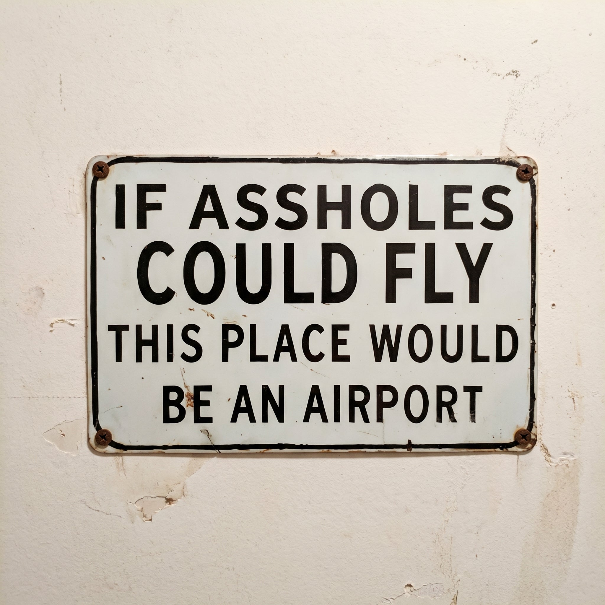 Funny "If Assholes Could Fly" Vintage Metal Sign – Hilarious Man Cave Wall Decor