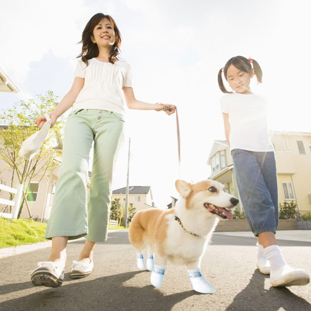 Disposable Dog Boots with Self-Adhesive Bandage for Paw Protection