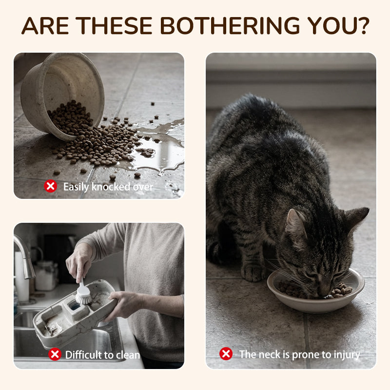 Anti-Slip Elevated 3-Bowl Pet Feeder