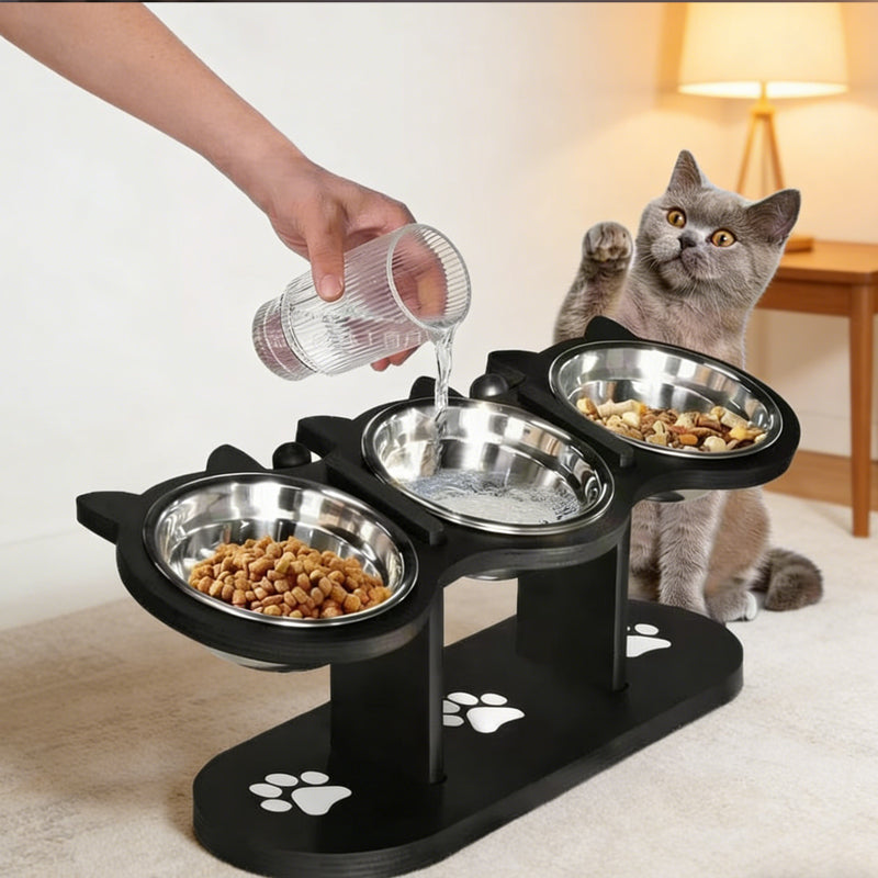 Anti-Slip Elevated 3-Bowl Pet Feeder