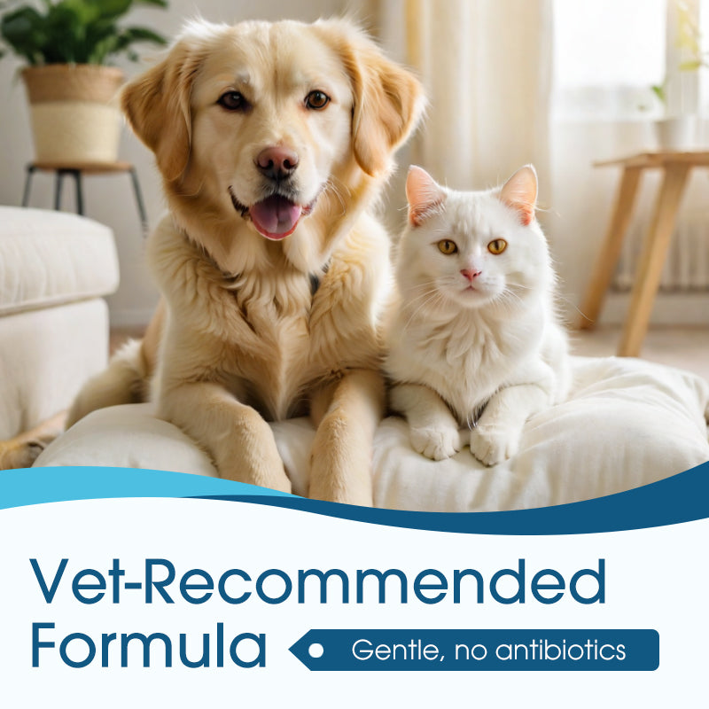 Anti-Itch Ear Cleaner for Dogs & Cats